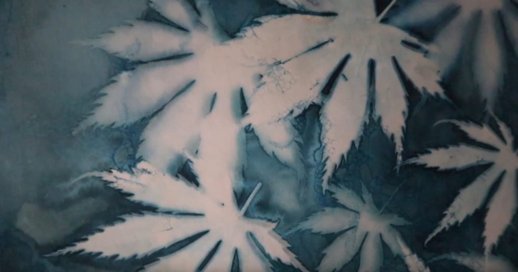 How to Make Cyanotype or Develop Photos at Home